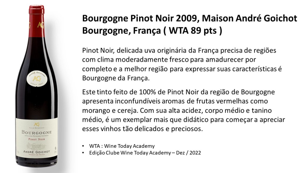 Bourgogne Pinot Noir 2009, Maison Andre&nbsp;Goichot